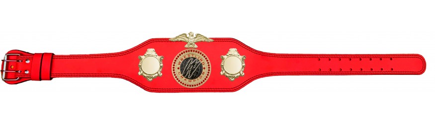WRESTLING CHAMPIONSHIP BELT-BUD004/G/WRESTGEMG-4 COLOURS